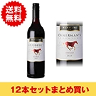 【まとめ買い・12本】レンマノ チェアマンズ セレクションシラーズ / レンマノ(Renmano Chairman's selection Shiraz)