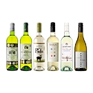 【セット】全部で11冠！フランス金賞入り！世界のソーヴィニヨンブラン 辛口 6本セット(SAUVIGNON BLANC 6 bottle set)